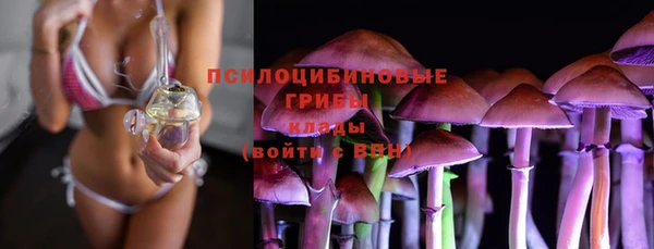 прущие крисы Навашино