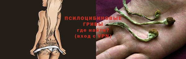 ешки Нефтекумск