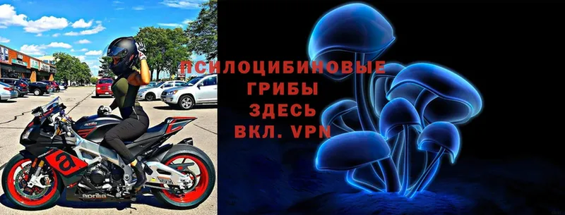 Галлюциногенные грибы Magic Shrooms  Киселёвск 